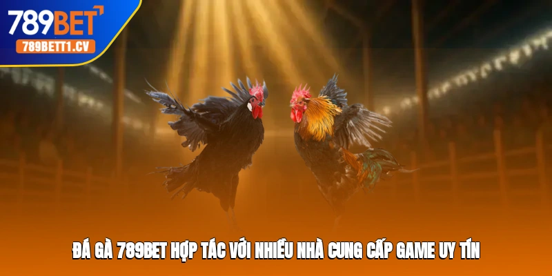 Đá gà 789BET hợp tác với nhiều nhà cung cấp game uy tín
