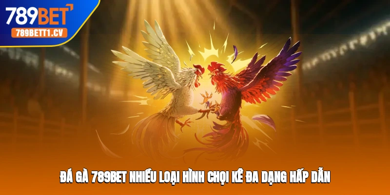 Đá gà 789BET nhiều loại hình chọi kê đa dạng hấp dẫn