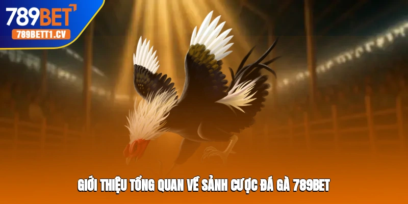 Giới thiệu tổng quan về sảnh cược đá gà 789BET