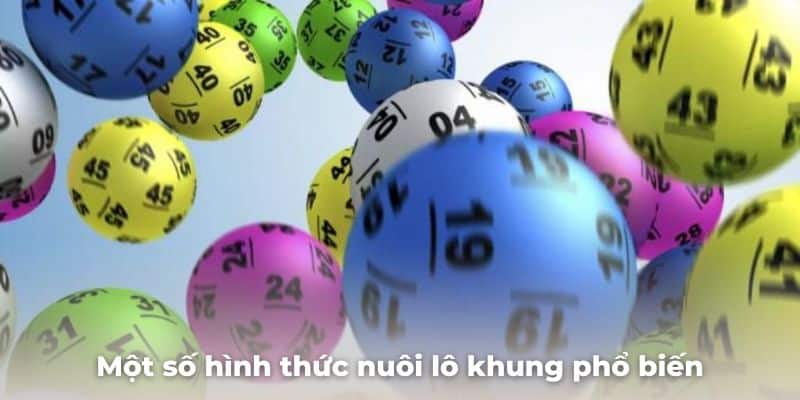 Giới thiệu về sảnh lô khung thú vị
